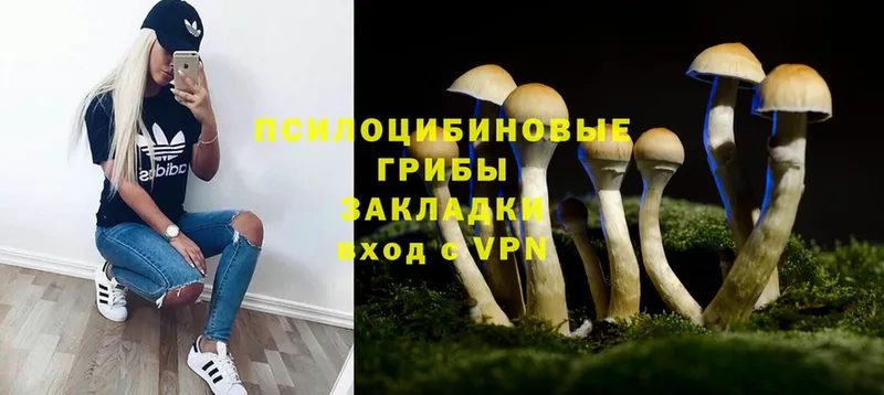 ОМГ ОМГ вход  Барыш  Галлюциногенные грибы MAGIC MUSHROOMS 